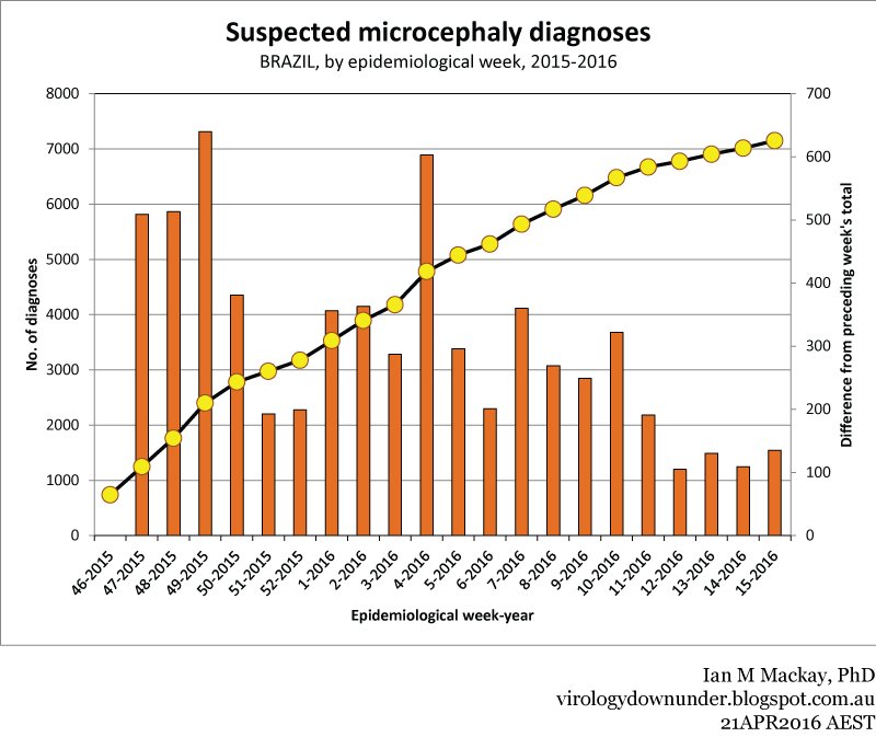 Microcephaly Chart
