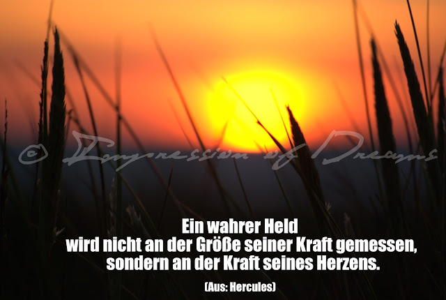 Ein wahrer Held wird nicht an der Größe seiner Kraft gemessen, sondern an der Kraft seines Herzens.