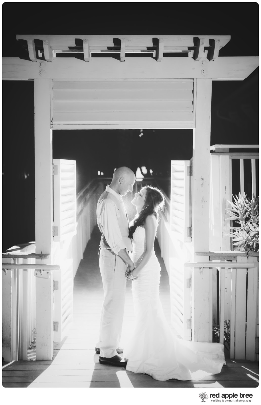 red apple tree photography Christie + Mike Wedding at The Shipyard