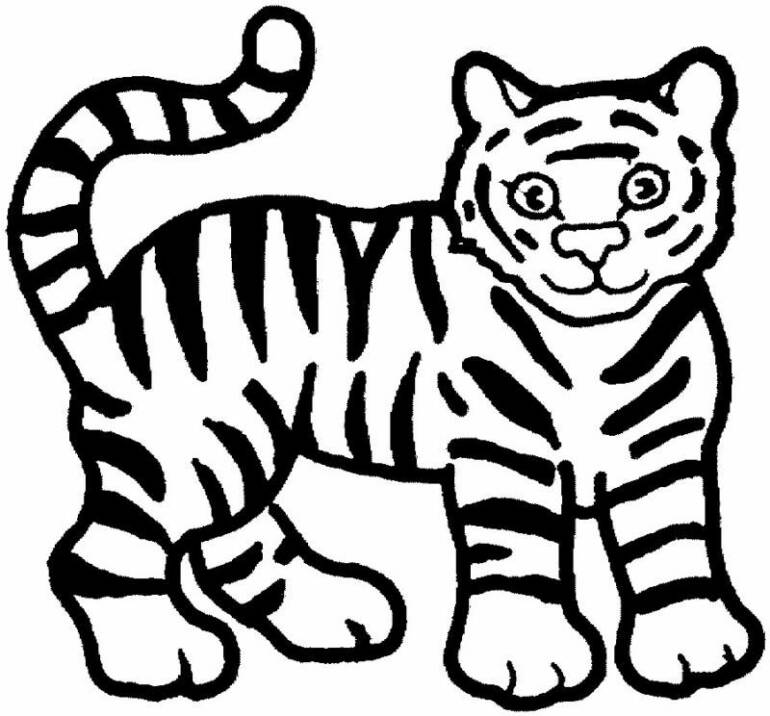 Free Printable Animal tiger Coloring Pages