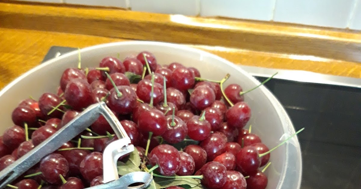 Küchentheater: Kirschkuchen vom Blech mit Schmandguss Küchentheater: Kirschkuchen vom Blech mit Schmandguss