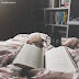 Especial: Dia Mundial do Livro