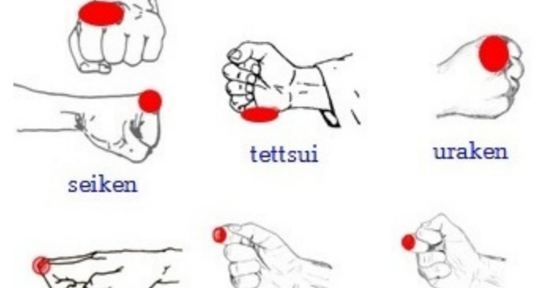 Karate Quick Guide Blogspot New Delhi Body Parts