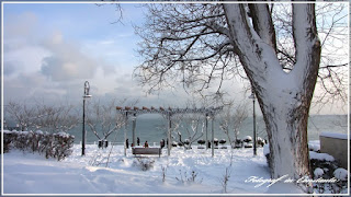 Winter Casino Constanta