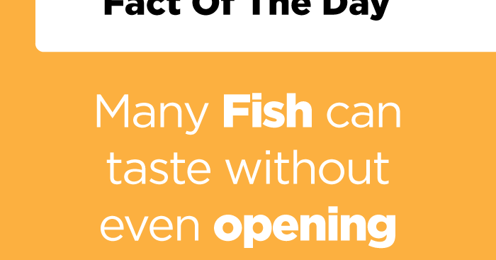 Many Fish can taste without even opening their mouths.