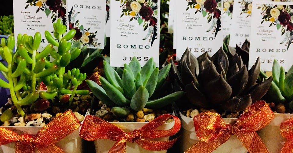 Succulents Cebu and Cactus Collection Cassiel's Succulent World Cebu