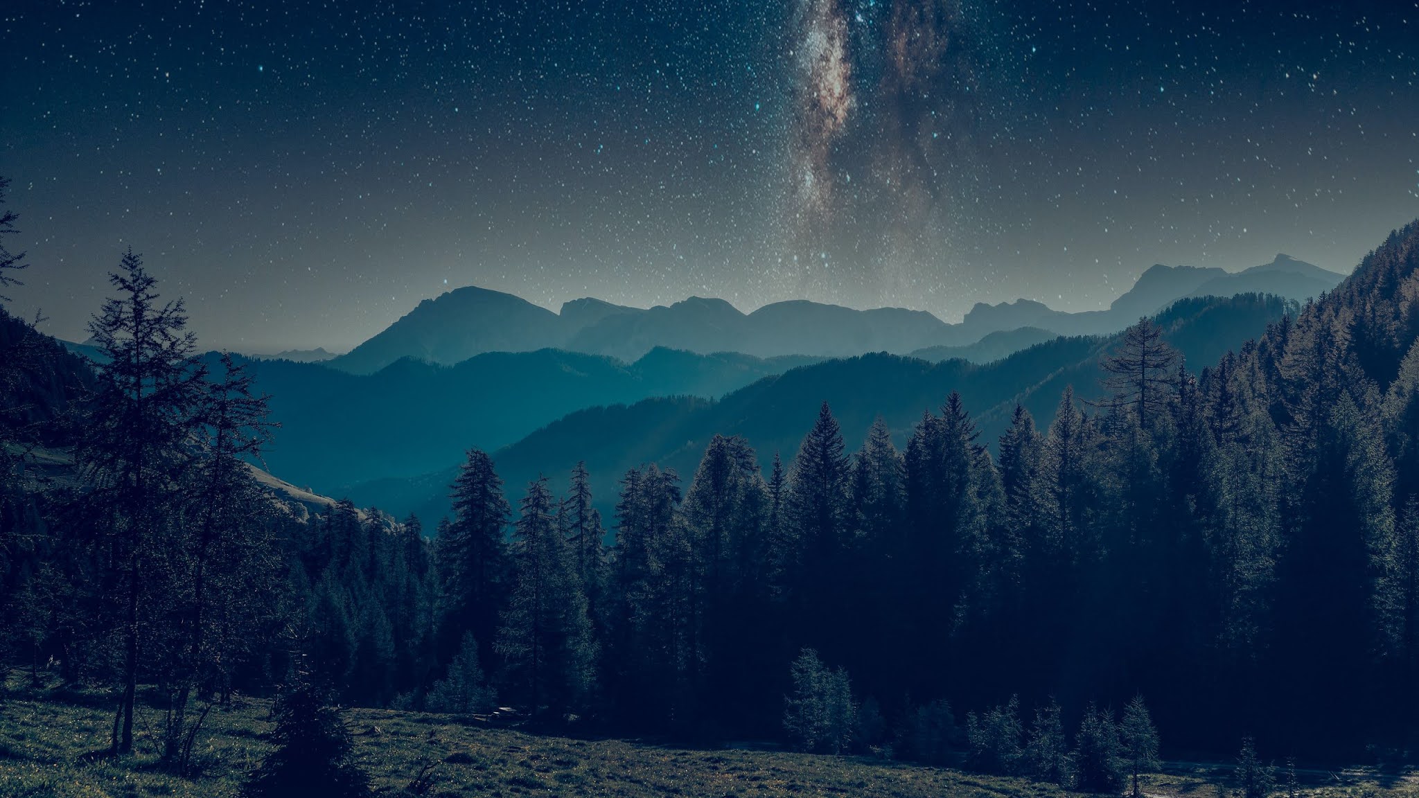 Starry Sky, Landscape, Night, Mountains, Forest
