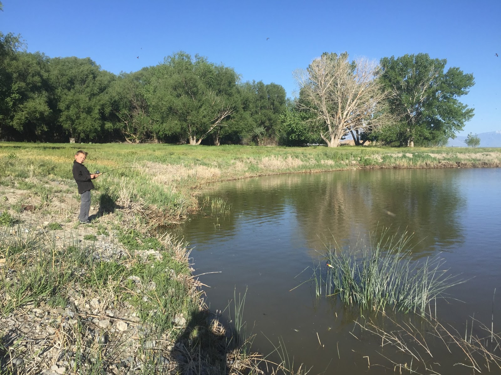 Dunc's Fishing Adventures Spring Catfish at Utah Lake