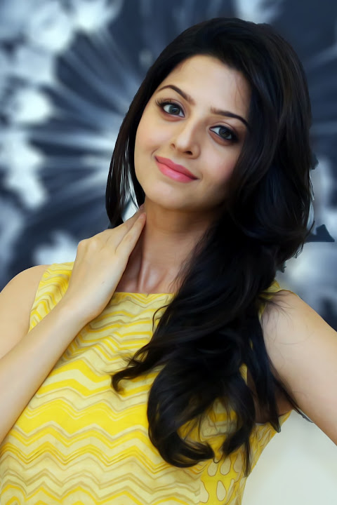 Vedhika in Yellow Photoshoot
