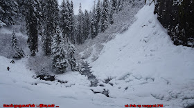Cold Spring Creek Mt Hood