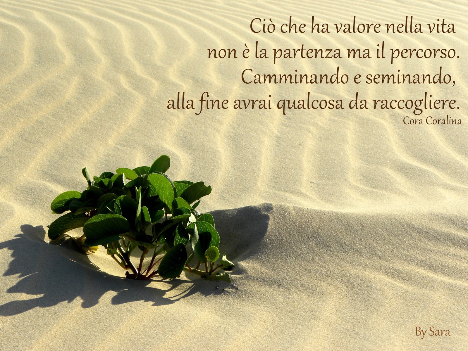 Frasi D Amore Di Pablo Neruda