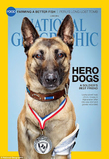 Hero Dogs from National Geographic