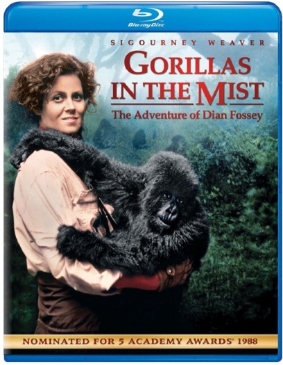 Gorillas in the Mist (1988) 1080p BDRip Dual Audio Latino-Inglés [Subt. Esp] (Drama. Animales. Basado en hechos reales)