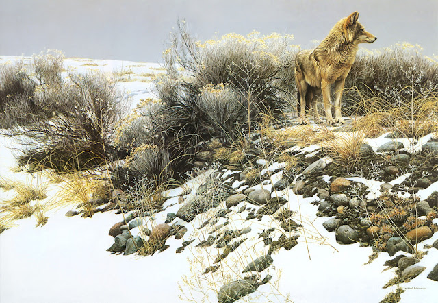 Роберт Бейтмэн / Robert Bateman Coyote in Winter Sage, 1979