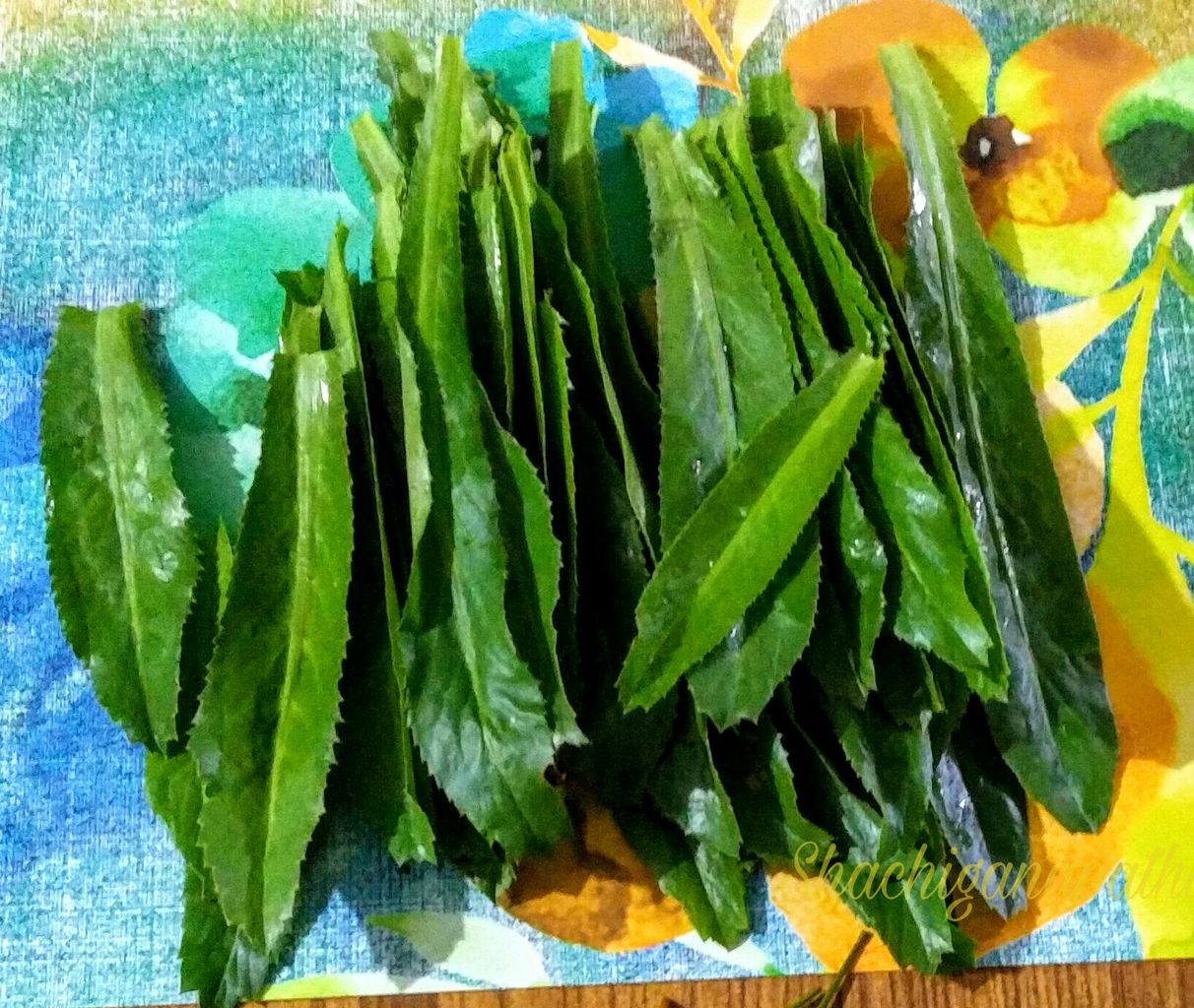 Mexican Coriander Fritters