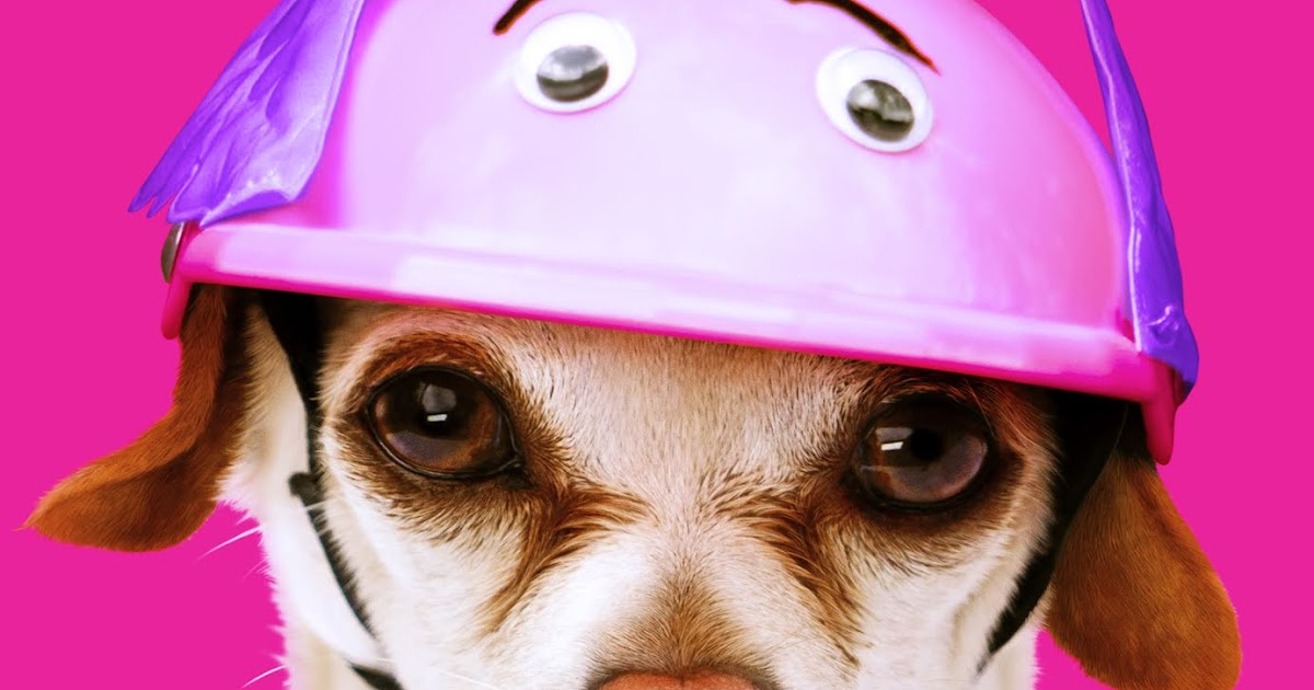 Download Dog Days Trailer Available Now In Theaters 8 08 Bobs Movie Review Free Wallpaper Dog Days Trailer Available Now In Theaters 8 08 Bobs Movie Review For Android Free