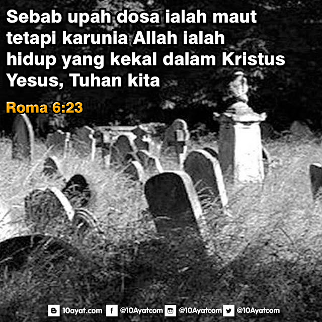 Roma%2B6 23