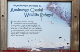 Alaska Coastal Wildlife Refuge