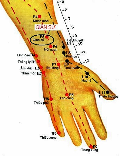Vị trí huyệt gian sử