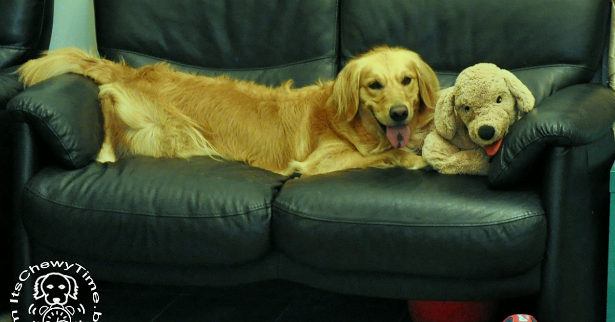 gosig golden