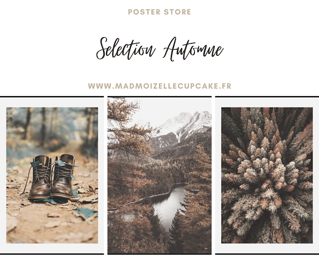 Selection automne site Poster Store