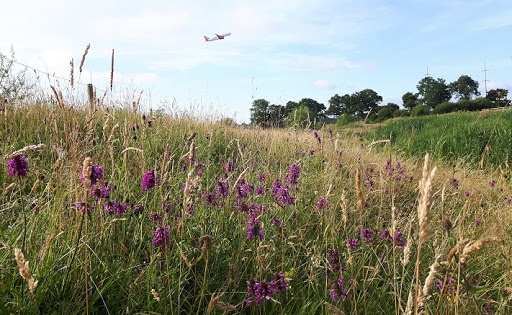 Biodiverse landscapes