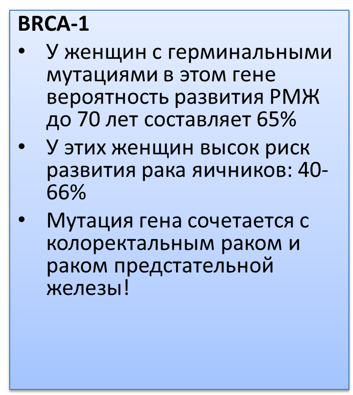 Боевые подруги