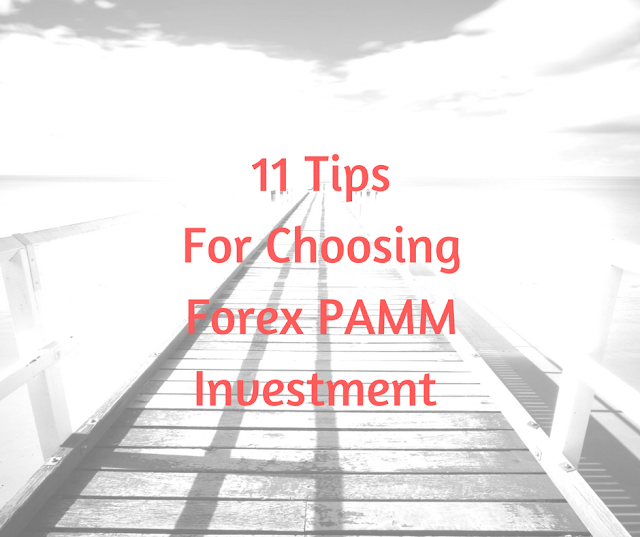 Forex pamm investment