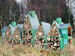 Insect Homes