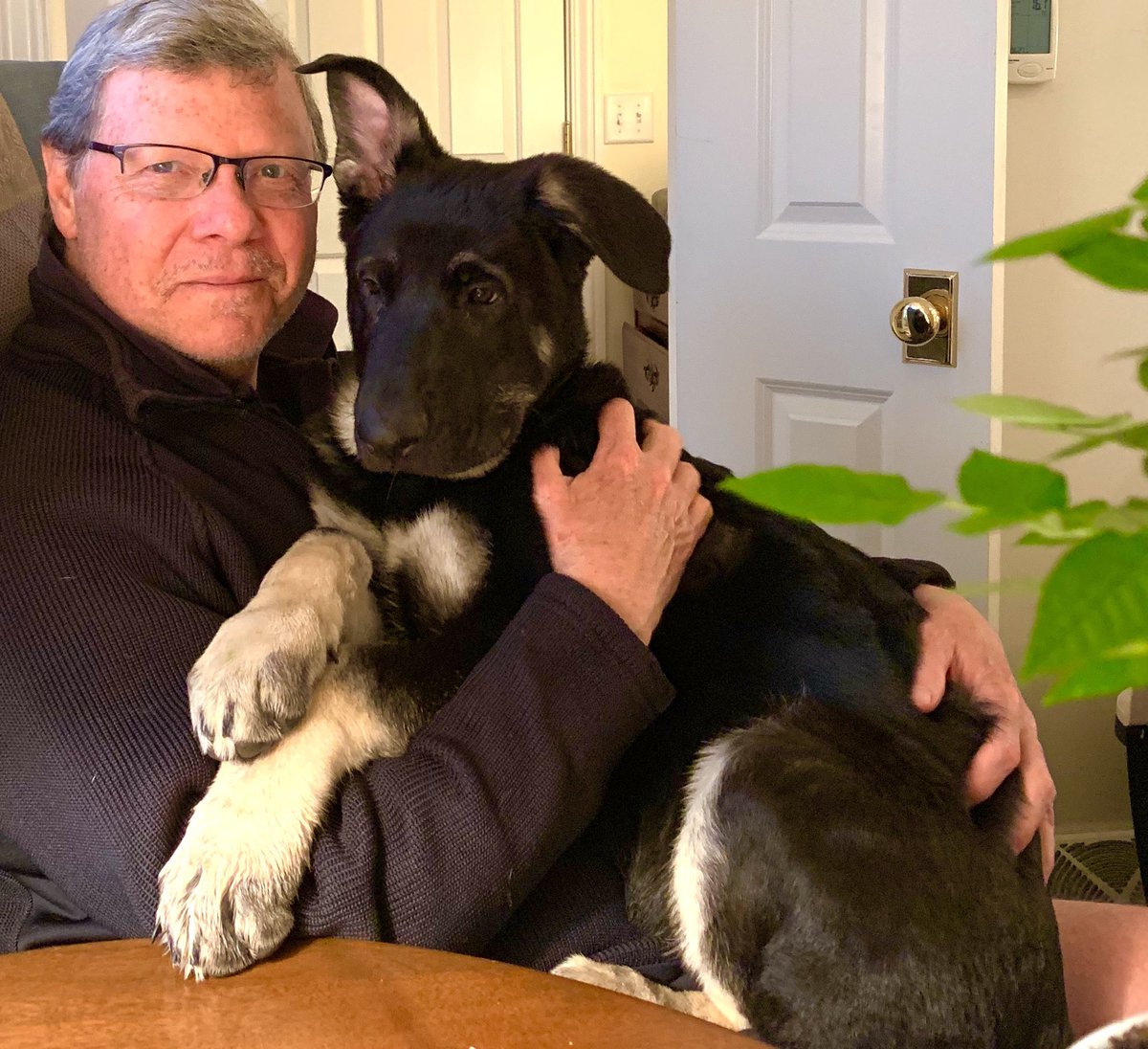 Exploring Charlie Sykes Twitter: Insights, Influence, And Impact