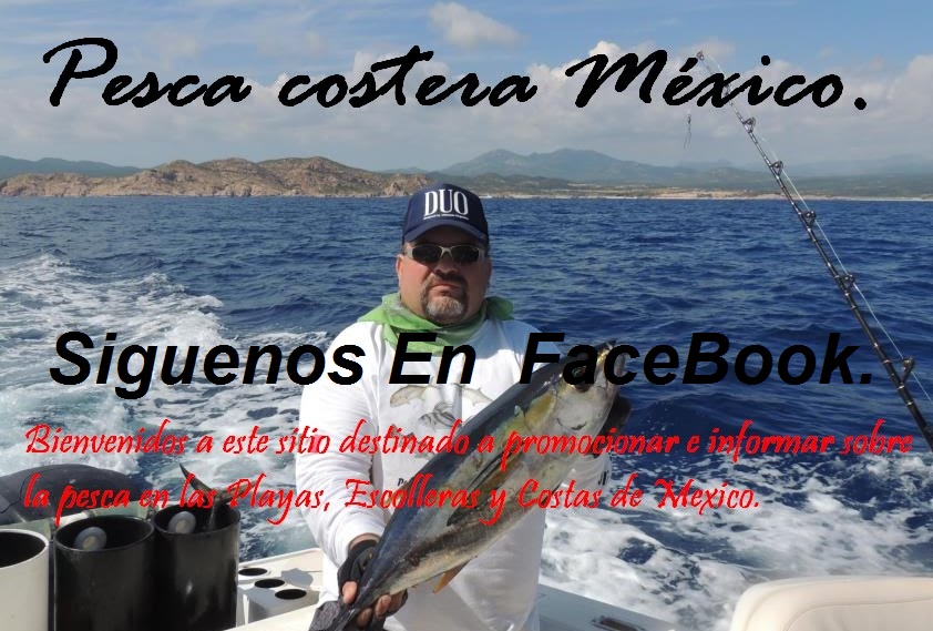 Siguenos en FaceBook