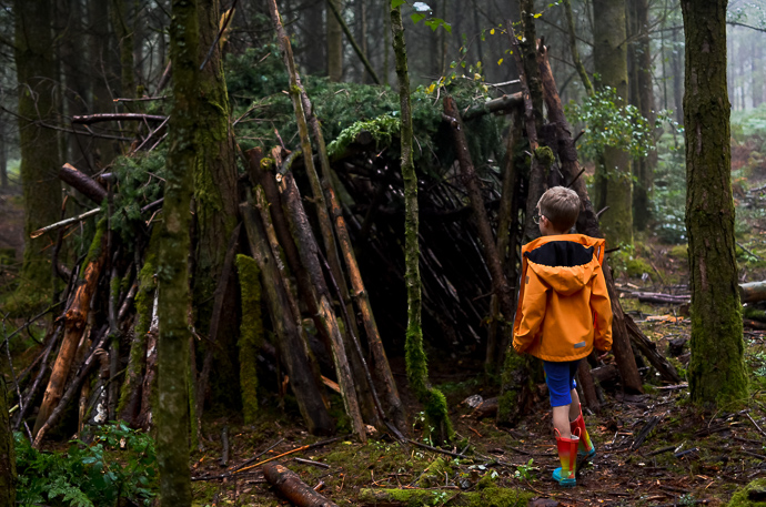 Haldon Forest, Exploring Devon, Forestry England