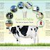 Farm To Table Statistics