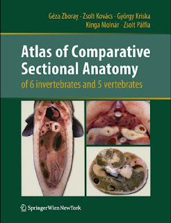 Atlas of Comparative Sectional Anatomy 1st Edition