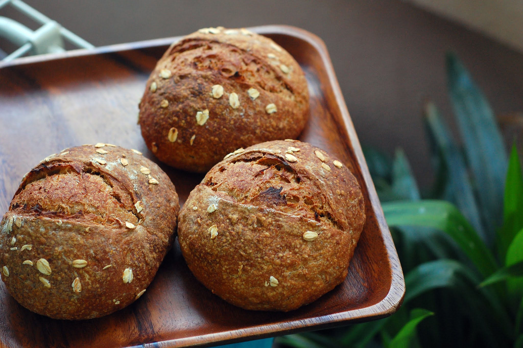 Oat molasses sourdough bun (vegan)