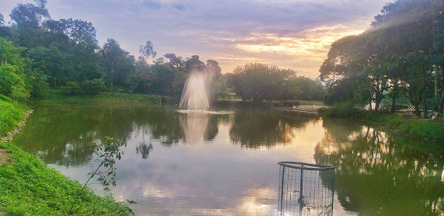 clement town lake dehradun, clement town lake dehradun uttarakhand, lake in clement town dehradun