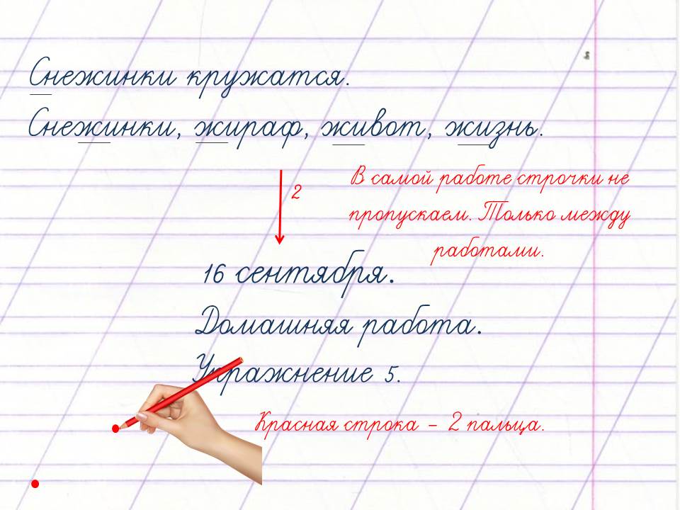 Правила отступа в тетрадях по математике в 1 классе в картинках