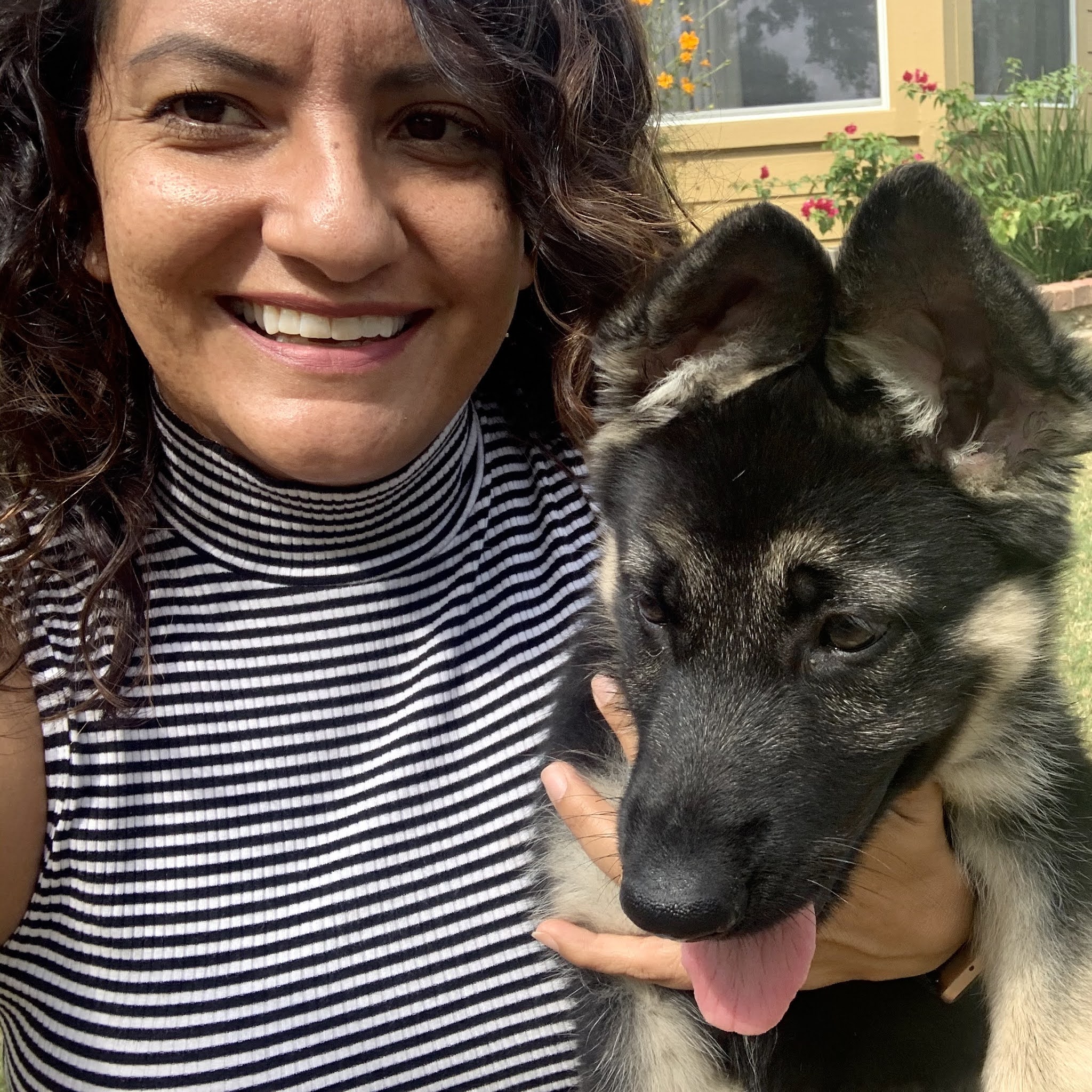 Meet Pflugerville's Finest Dog Walkers and Pet Sitters!