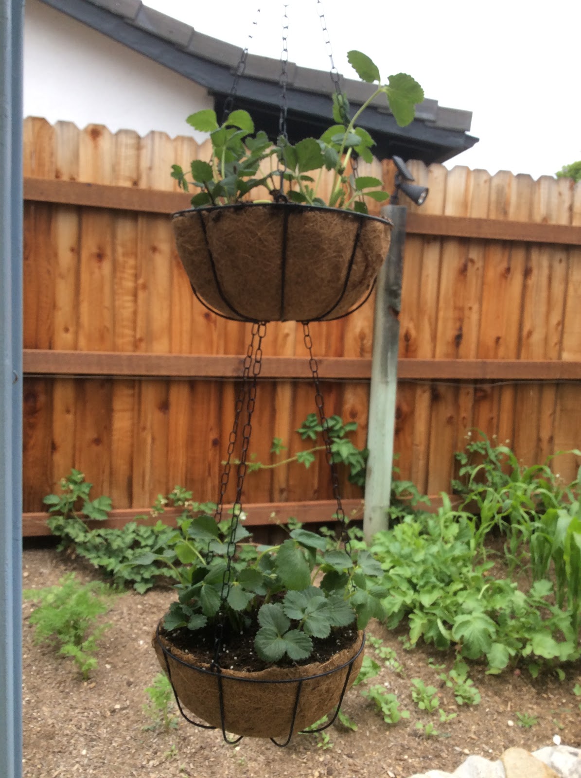 Fresh Vintage by Lisa S Make a Double Hanging Strawberry Basket