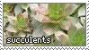 2016-02-19_succulents%2Bstamp_99x56_by_gunsweat.png