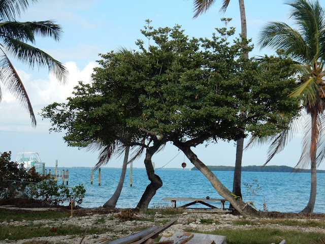 Key Largo, Florida