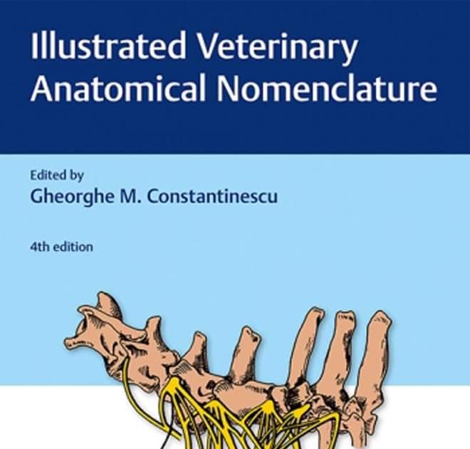 Illustrated Veterinary Anatomical Nomenclature, 4th Edition
