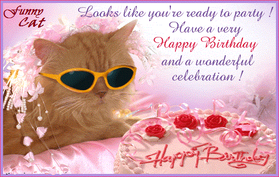 Funny Cat Happy Birthday Wishes Message, SMS - Messages Chaska