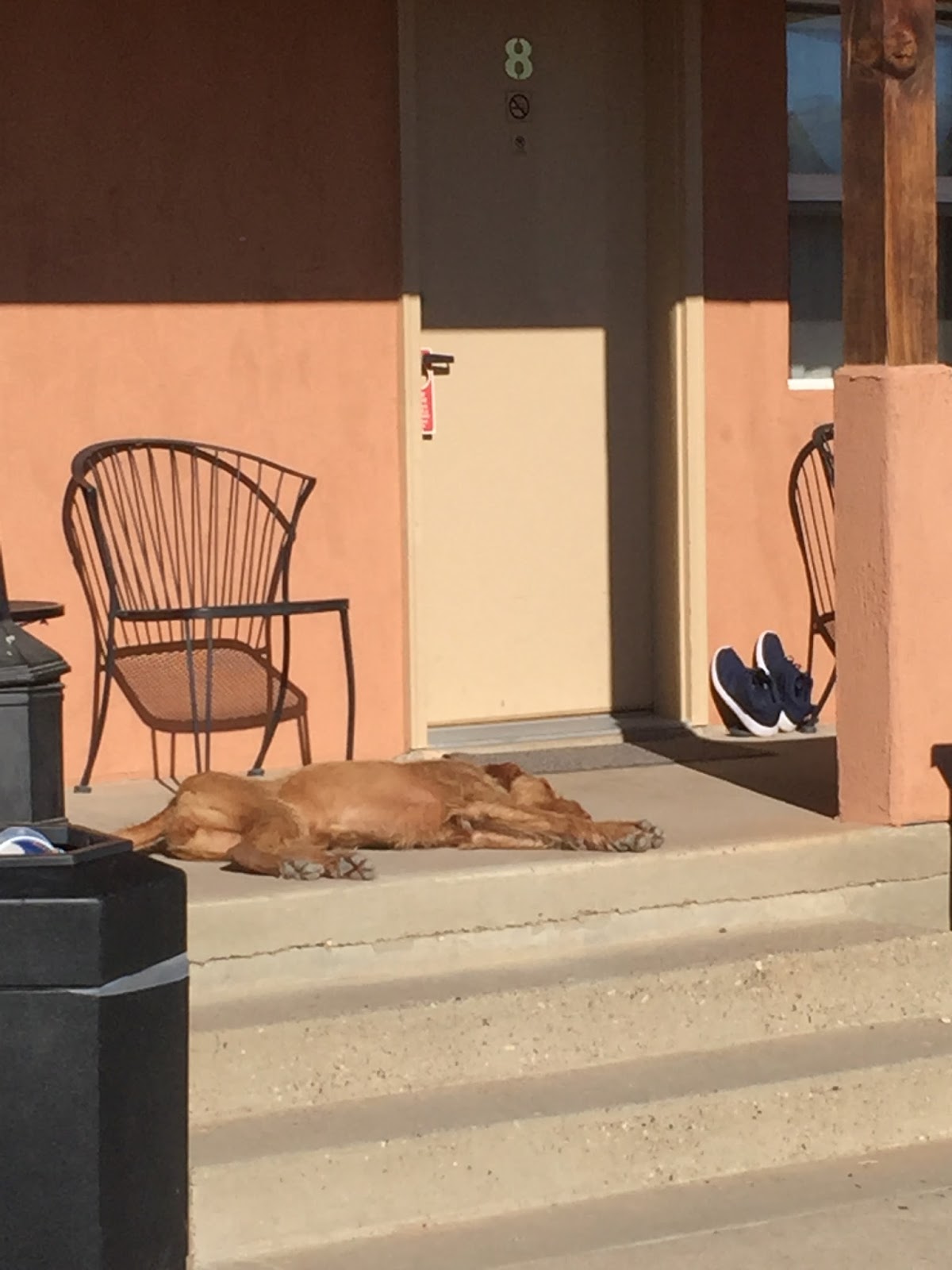 Escalante It S Not An Adventure Until Something Goes Wrong