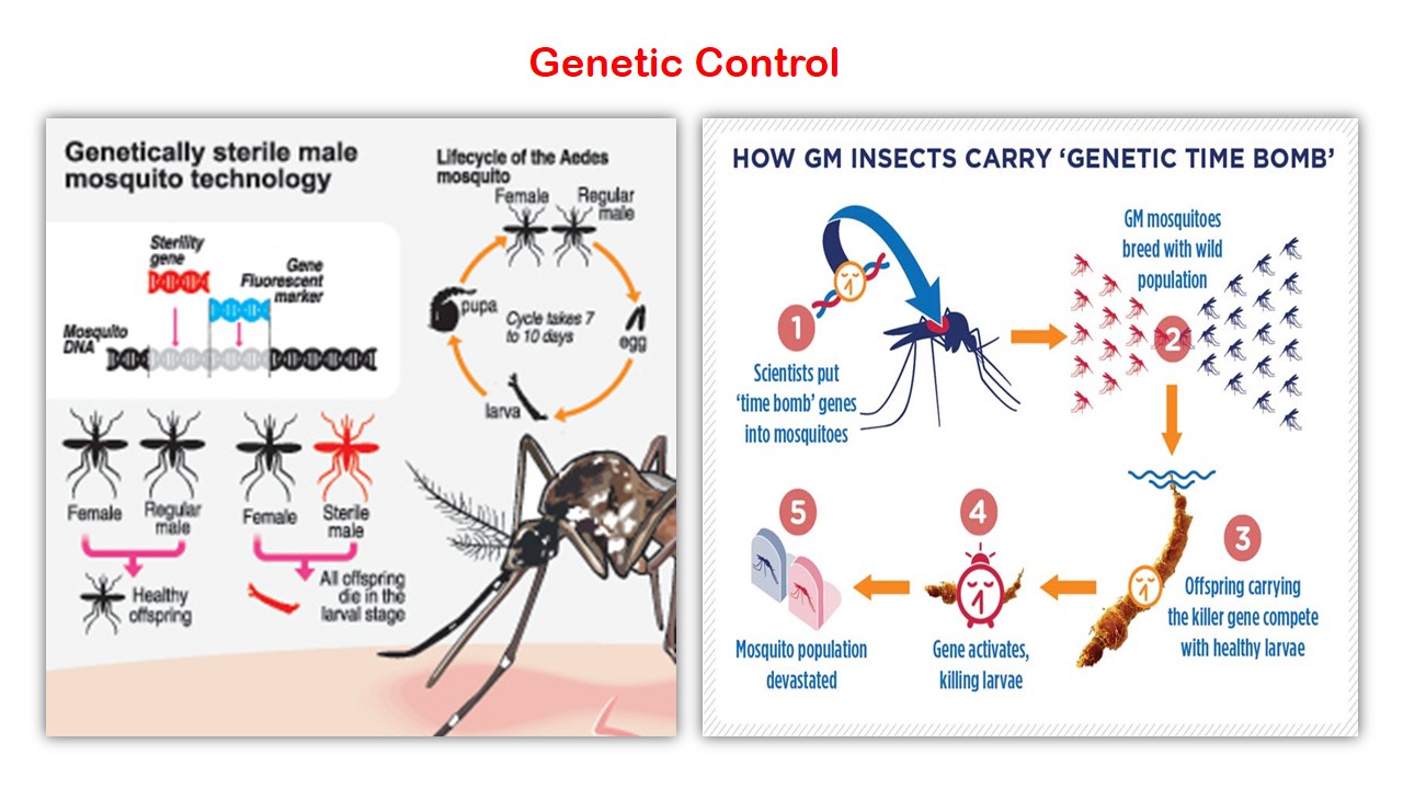 Spotters in "Environment and Health Mosquito control Measures" for CFM