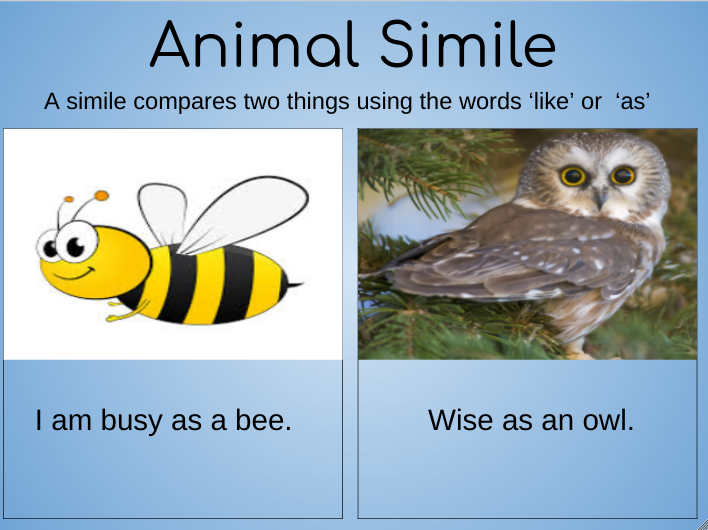 List of Animal Similes | Owlcation