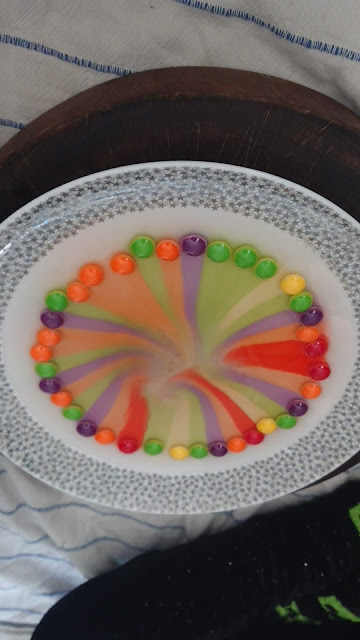 Skittles rainbow experiment for kids.