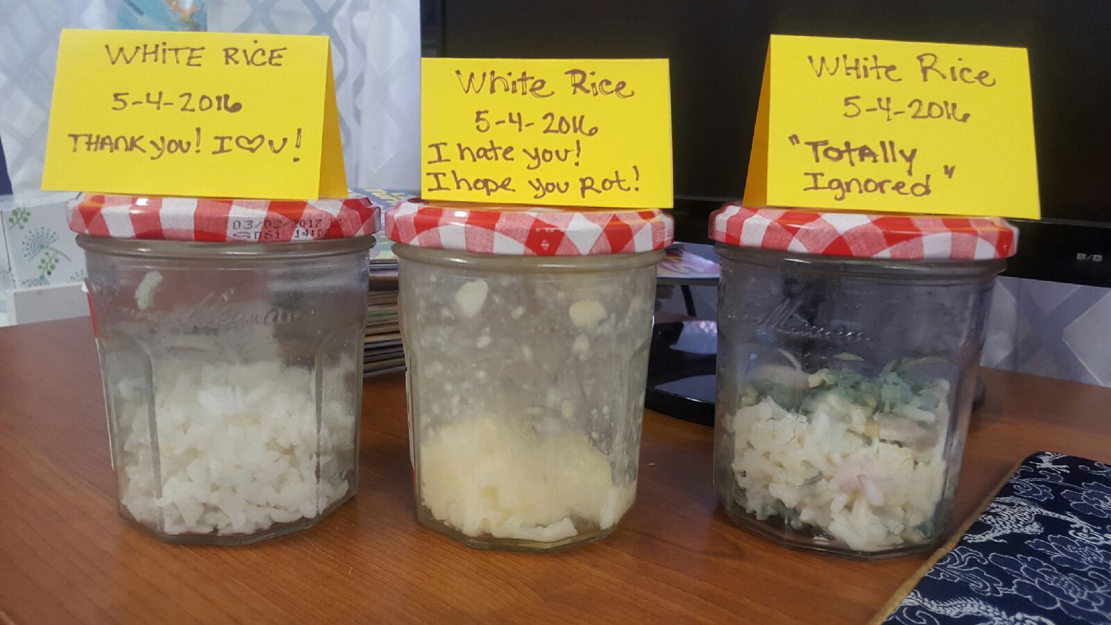 Miracle Work with Fran Spayne Power of Words