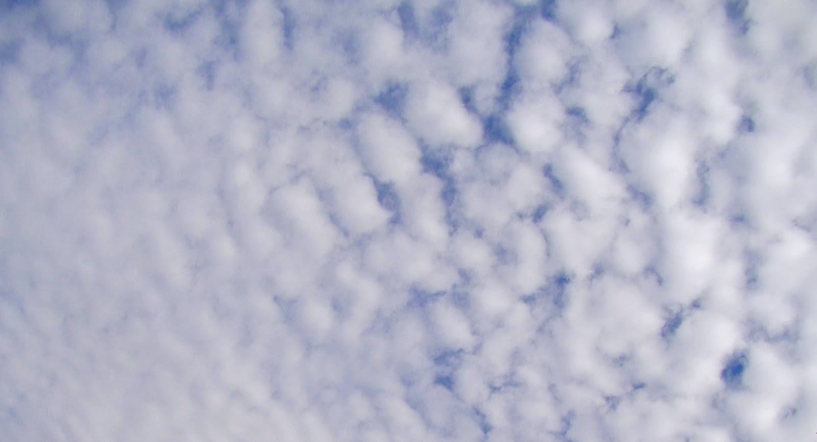 Healthy Living News Afraid of the Unknown