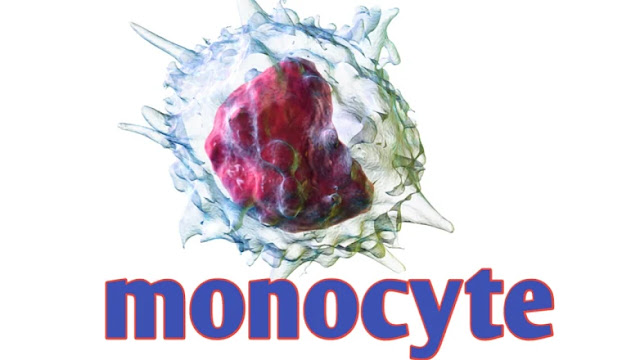 Differential leukocyte Count क्या होता है | DLC count in Hindi.